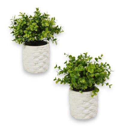 Derlily Artificial Plants for Home and Office Decor, Realistic Small Indoor Fake Plants for Any Setting. Lifelike Faux Plants for Kitchen and Bathroom Decor (Douban Grass, Greater Eucalyptus)